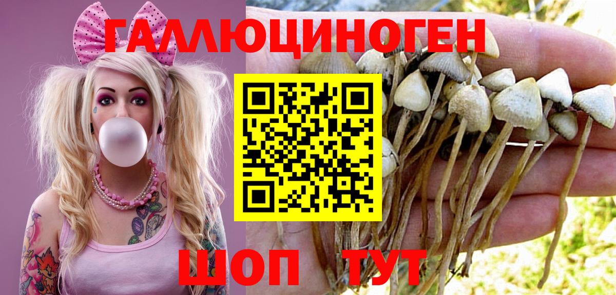 Псилоцибиновые грибы MAGIC MUSHROOMS Кисловодск