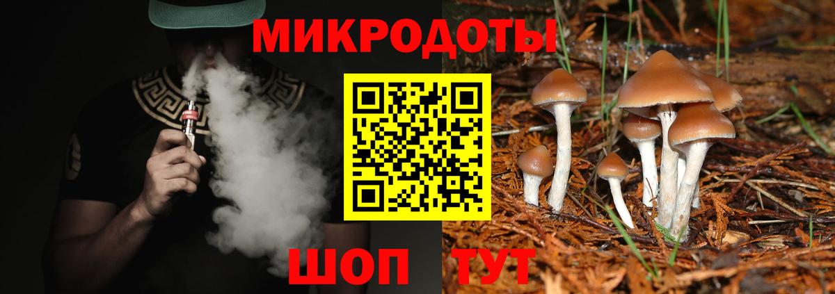 продажа наркотиков  Псилоцибиновые грибы Magic Shrooms  Псилоцибиновые грибы мицелий  Вход с VPN  Кисловодск 
